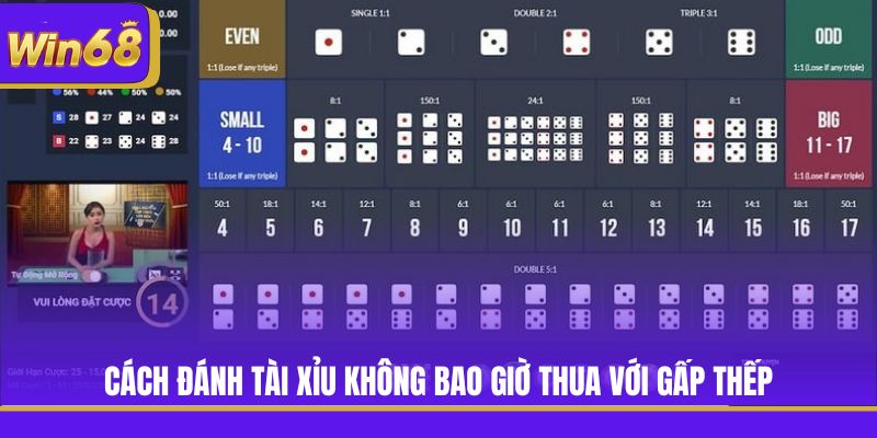 Cách đánh Tài Xỉu không bao giờ thua với gấp thếp