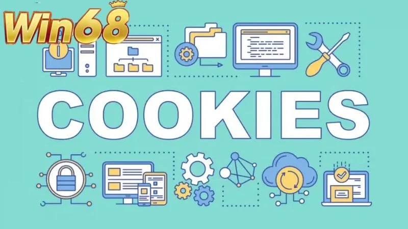 Chính sách bảo mật qua cookies cho phép hội viên có quyền quyết định xoá hay lưu data