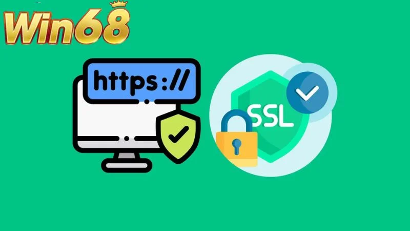 Theo chính sách bảo mật, mọi data khách đều được mã hoá bằng giao thức SSL 256-bit