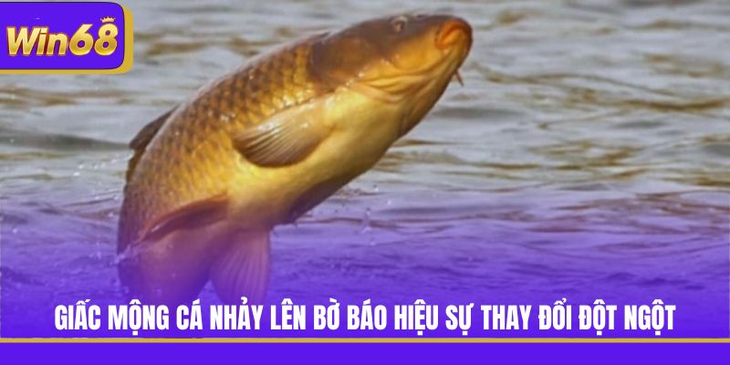 Giấc mộng cá nhảy lên bờ báo hiệu sự thay đổi đột ngột