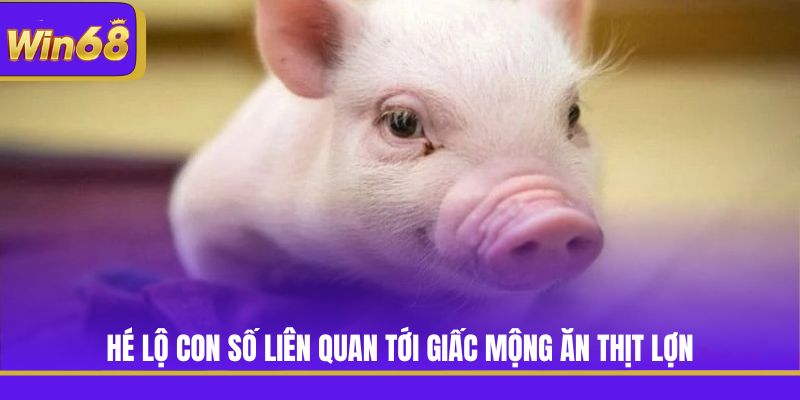 Hé lộ con số liên quan tới giấc mộng ăn thịt lợn