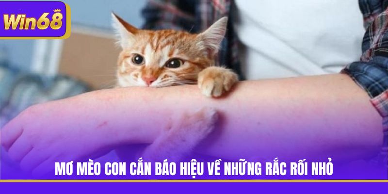 Mơ mèo con cắn báo hiệu về những rắc rối nhỏ