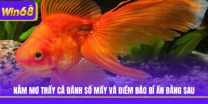 Nằm Mơ Thấy Cá Đánh Số Mấy Và Điềm Báo Bí Ẩn Đằng Sau