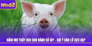 Nằm Mơ Thấy Heo Con Đánh Số Gì? - Gợi Ý Dàn Lô Cực Đẹp