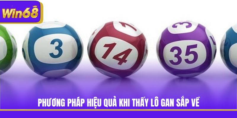 Phương pháp hiệu quả khi thấy lô gan sắp về